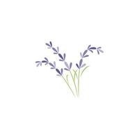 vetor de logotipo de flor de lavanda fresca