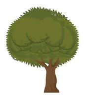 planta de árvore verde vetor