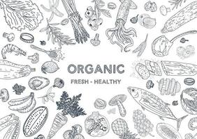 Alimentação saudável. ilustração de alimentos orgânicos. vetor