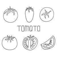 conjunto de tomate em estilo doodle vetor