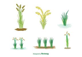 Vector de planta de arroz grátis