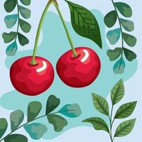 cerejas frutas frescas vetor