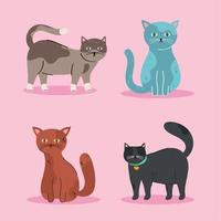 quatro gatos fofos animais de estimação vetor