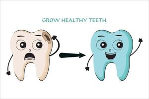 crescer ilustração vetorial de dente saudável em estilo cartoon. vetor