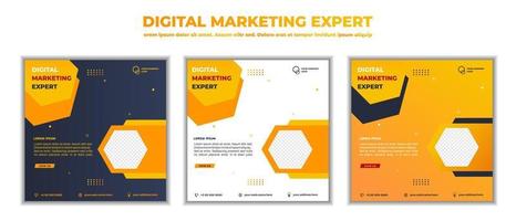 post de mídia social de webinar de negócios de marketing digital. ilustração vetorial e texto vetor