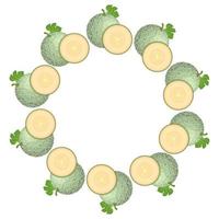 grinalda de melão cantaloupe verde com espaço para texto. comida doce orgânica dos desenhos animados. frutas de verão para um estilo de vida saudável. ilustração vetorial para qualquer projeto. vetor