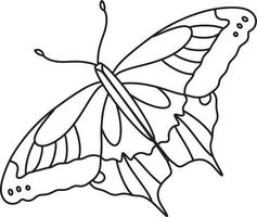 doodle de desenho de mão de contorno de borboleta vetor