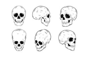 elemento desenhado à mão do crânio realista vetor