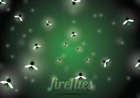 Fundo do vetor Firefly