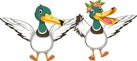 personagem de desenho animado de um casal de patos vetor