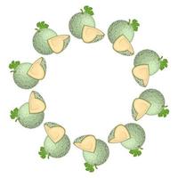 grinalda de melão cantaloupe verde com espaço para texto. comida doce orgânica dos desenhos animados. frutas de verão para um estilo de vida saudável. ilustração vetorial para qualquer projeto. vetor