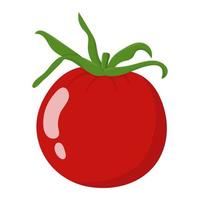 vegetal de tomate vermelho fresco isolado no fundo branco. ícone de tomate para mercado, design de receita. comida orgânica. estilo simples dos desenhos animados. ilustração vetorial para seu projeto, web. vetor