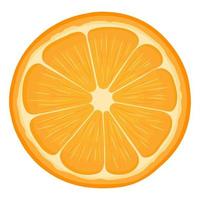 meia tangerina exótica brilhante fresca ou mandarina isolada no fundo branco. frutas de verão para um estilo de vida saudável. fruta orgânica. estilo de desenho animado. ilustração vetorial para qualquer projeto. vetor