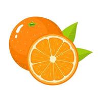 conjunto de frutas frescas inteiras e meia laranja com folhas isoladas no fundo branco. tangerina. fruta orgânica. estilo de desenho animado. ilustração vetorial para qualquer projeto. vetor