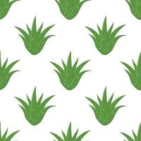 sem costura padrão com aloe vera planta medicinal cortar folhas isoladas no fundo branco. estilo de desenho animado. ilustração vetorial para qualquer projeto. vetor