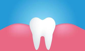 gengivas saudáveis de dente único branco 3d únicas isoladas em