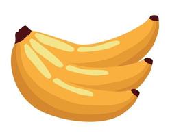 aglomerado de bananas de frutas frescas vetor