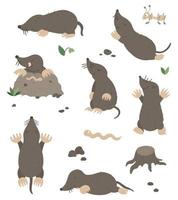 conjunto de vetores de toupeiras engraçadas planas estilo cartoon em diferentes poses com formiga, verme, folhas, pedras clip-art. ilustração fofa de animais da floresta para design de crianças.