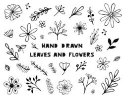 conjunto de flores e folhas de esboço desenhado à mão vetor