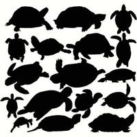 tartaruga no conjunto de arquivos vetoriais de silhueta vetor