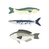 conjunto de peixes do rio. peixes isolados no fundo branco. ilustração vetorial. vetor