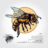 ilustração dos desenhos animados de abelha. design de ilustração para inseto de mel, logotipo para produto orgânico. elemento de apiário, insígnia de pragas ou tatuagem. tema biologia e entomologia.