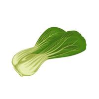 ilustração vetorial, bok choy ou brassica rapa, isolado no fundo branco. vetor