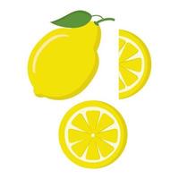 um conjunto de limão inteiro e fatias em um fundo branco para design de menu ou site vetor