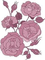 delicado buquê de rosas, ramo com flores, folhas e botões, ilustração vetorial para moda, têxtil, tecido, decoração. vetor