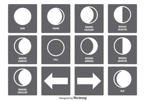 Conjunto de ícones da fase da lua vetor