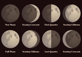 Vetor de fases da lua