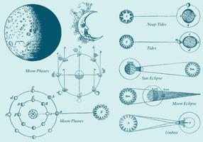 Desenhos de estilo antigo vetores da fase da lua