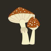 amanita de cogumelo não comestível de agárico isolado em um fundo escuro. símbolo de cogumelo mágico. ilustração vetorial dos desenhos animados. vetor