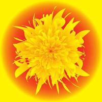 ilustração de uma flor amarela desabrochando vista de cima vetor