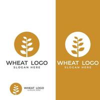 logotipo de trigo ou cereal, campo de trigo e logotipo de fazenda de trigo. com ilustrações de edição fáceis e simples. vetor