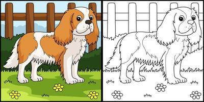 desenho de cachorro cavalier king charles spaniel para colorir vetor