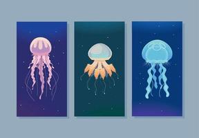 banners de vida marinha de medusas vetor