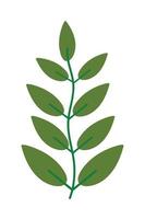 ícone de planta de folha vetor