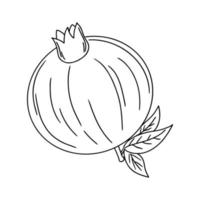 ilustração vetorial desenhada à mão de uma romã com folhas em estilo doodle. ilustração fofa de uma fruta em um fundo branco. vetor