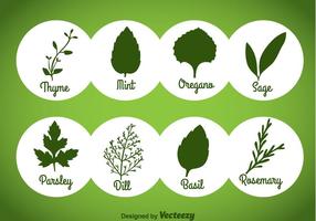 Ícones verdes e especiarias de ervas e especiarias vetor