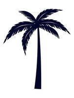 palmeira tropical vetor