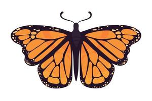 bug borboleta monarca vetor