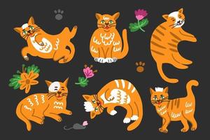 conjunto de gatos engraçados em poses diferentes. vetor