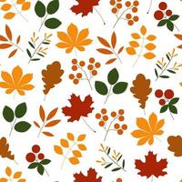 padrão de outono sem costura com carvalho, bordo, folhas de castanha e bagas. cores amarelas, laranja e vermelhas, marrons e verdes. adequado para padrão de tecido, papel de parede, papel de presente. ilustração vetorial dos desenhos animados. vetor