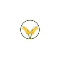 logotipo da agricultura de trigo vetor