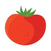 ícone de tomate vegetal vetor