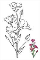 doodle eustoma flor, ilustração vetorial lisianthus para livro de colorir, páginas para colorir para crianças e adultos vetor