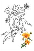 ilustração de flor de heliopsis, gerbera, camomila em estilo doodle para livro de colorir, páginas para colorir vetor