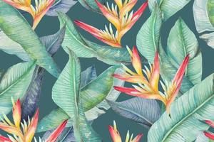 sem costura padrão heliconia, uma planta tropical pintada em watercolor.illustration da ave do paraíso para desenhos de tecido e papel de parede do fundo de padrão de vantagem forest.natural. vetor