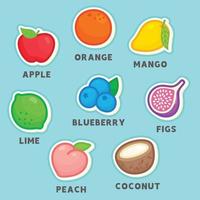 vocabulário sobre o gráfico de diagrama de frutas do arco-íris em englishsubject kawaii doodle vector cartoon